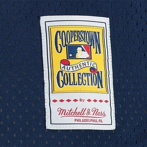 Craig Biggio Houston Astros Mitchell & Ness Cooperstown Mesh Batting Practice Jersey - Navy