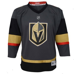 Vegas Golden Knights Infant Alternate Replica Team Jersey - Gray