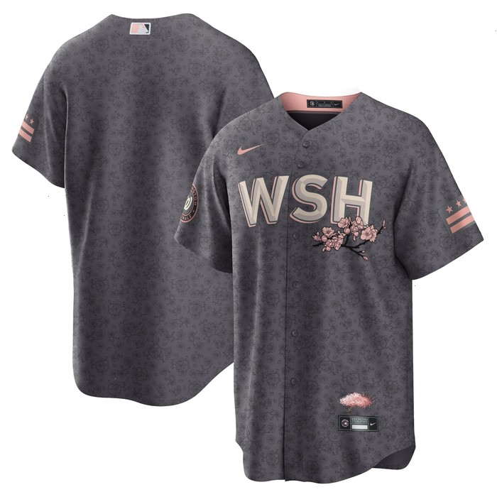 Washington Nationals Nike 2022 City Connect Replica Jersey - Gray