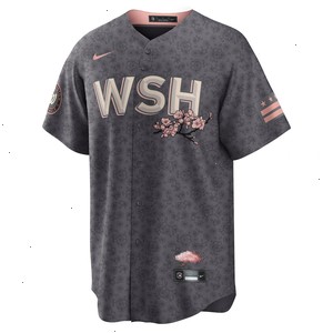 Washington Nationals Nike 2022 City Connect Replica Jersey - Gray