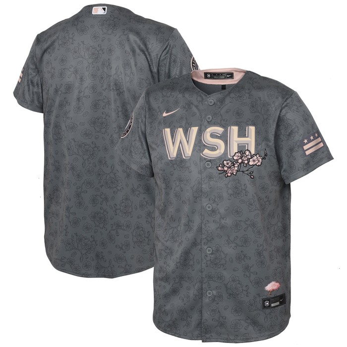 Washington Nationals Nike Preschool 2022 City Connect Replica Jersey - Gray