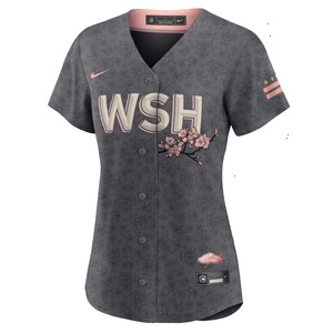 Washington Nationals Nike Women's City Connect Replica Team Jersey - Gray